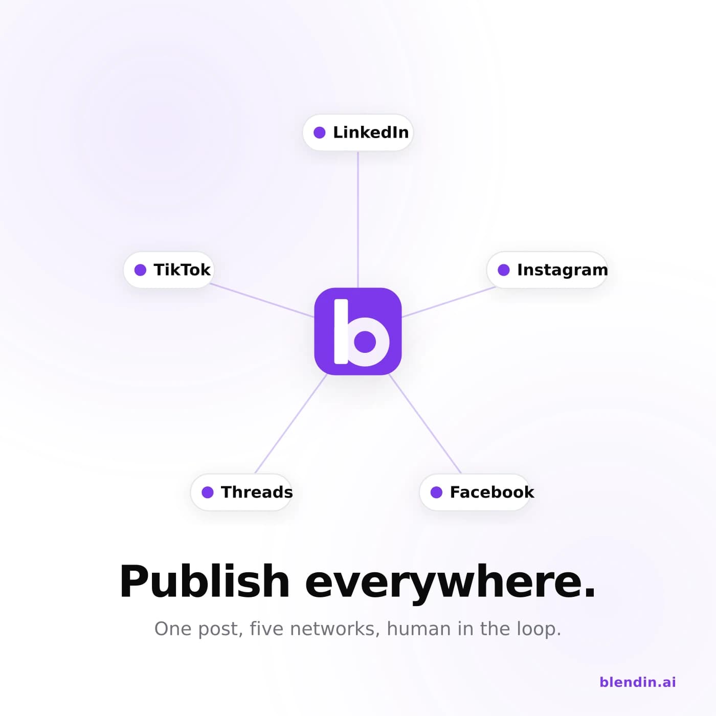 Publish across five networks from one place
